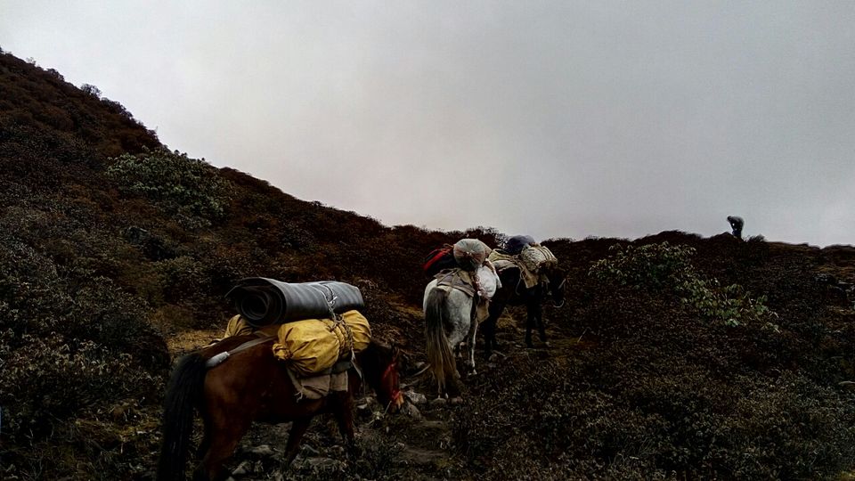 Photo of Thangsing, Sikkim, India by Kshitij Guglani