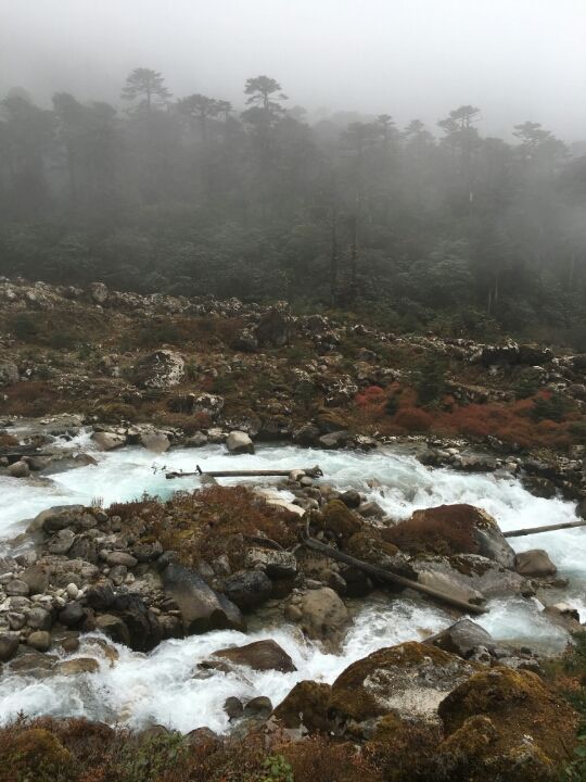 Photo of Thangsing, Sikkim, India by Kshitij Guglani