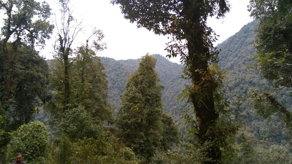 Photo of Sikkim, India by Kshitij Guglani