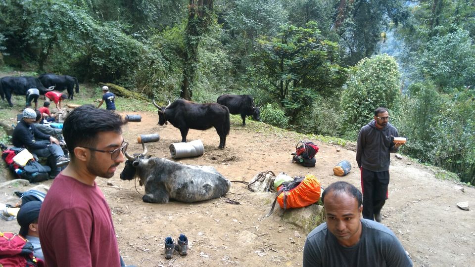 Photo of Sikkim, India by Kshitij Guglani
