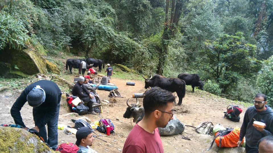 Photo of Sikkim, India by Kshitij Guglani