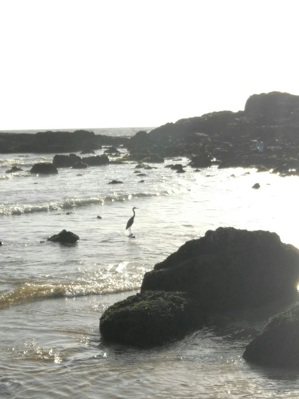 Photo of Goa, India by Kshitij Guglani