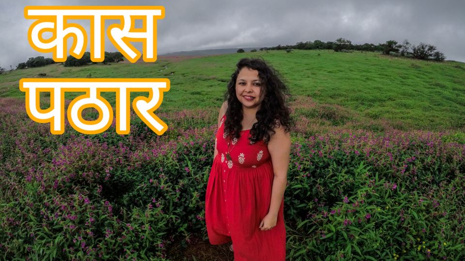 Photo of Kaas Plateau Satara: Exploreing The Valley Of Flowers #MyWanderlustStory by Bhupendra Singh