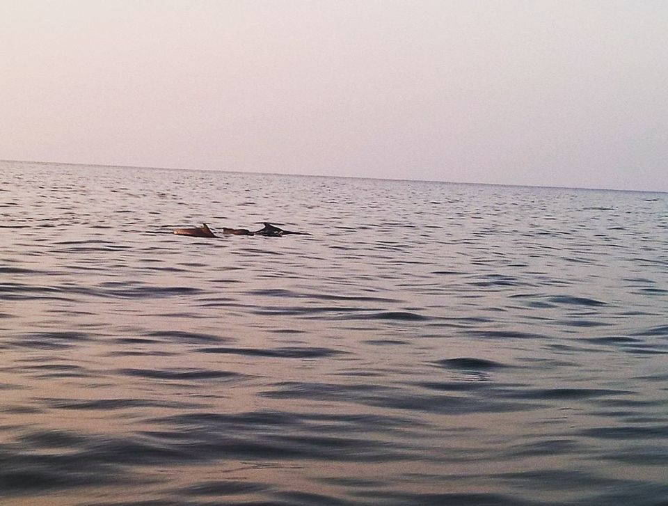 Photo of South Goa: First Timer's trip to a less heard version of Goa! by Yashrajsinh Chudasama