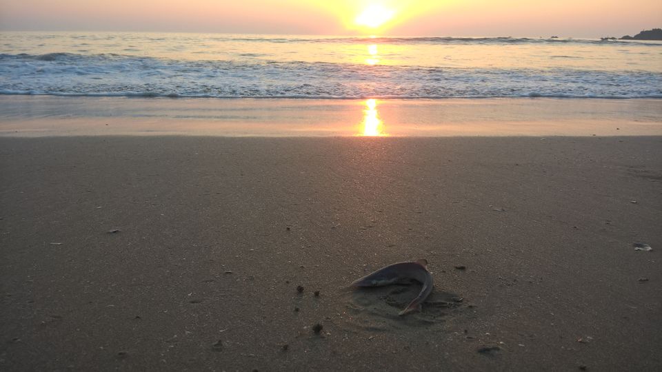 Photo of Patnem Beach, Goa, India by Yashrajsinh Chudasama