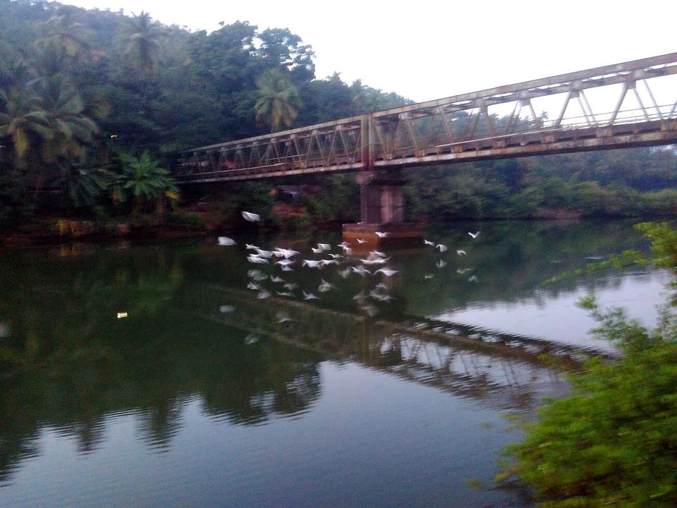 Photo of South Goa Unplugged! A week of Tropical Escapade. by Yashrajsinh Chudasama