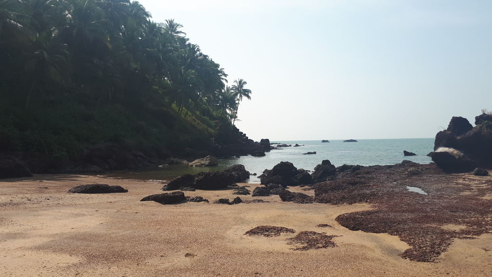 Photo of South Goa Unplugged! A week of Tropical Escapade. by Yashrajsinh Chudasama