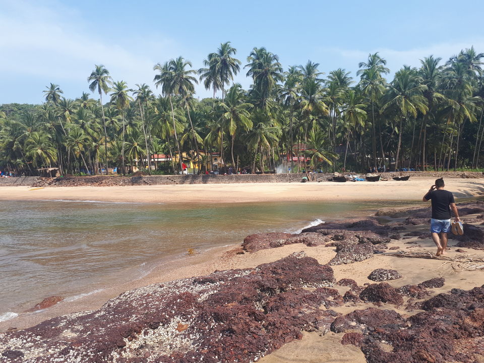 Photo of South Goa Unplugged! A week of Tropical Escapade. by Yashrajsinh Chudasama