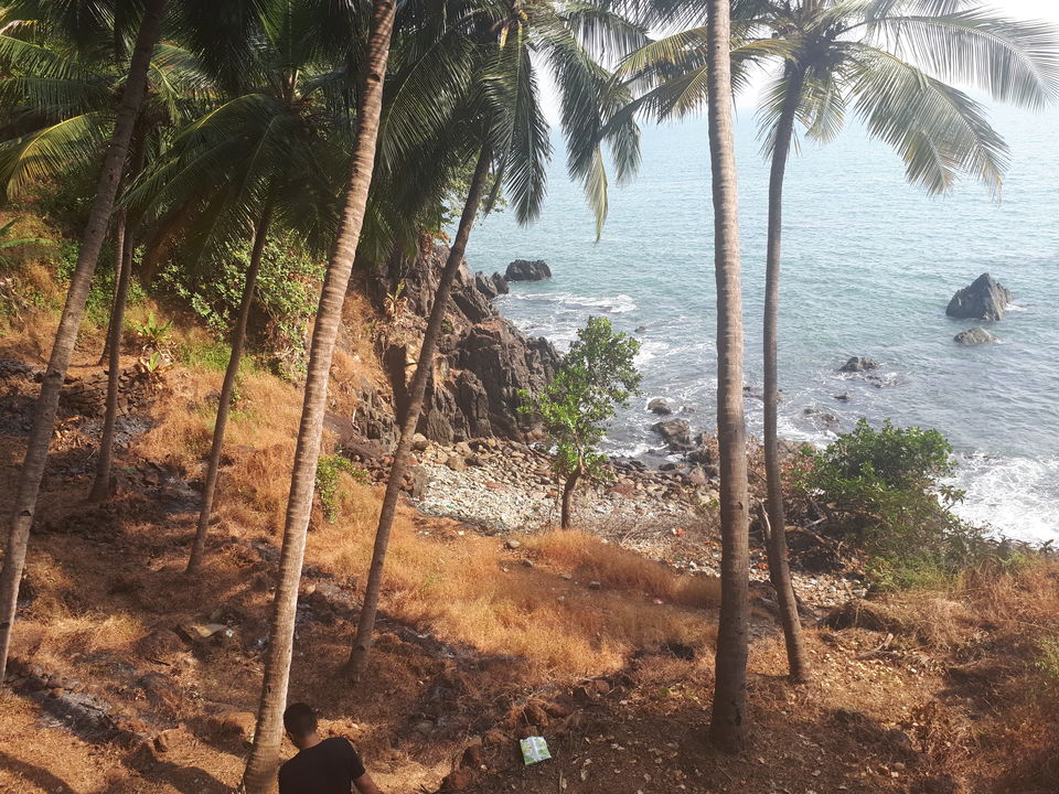Photo of South Goa Unplugged! A week of Tropical Escapade. by Yashrajsinh Chudasama