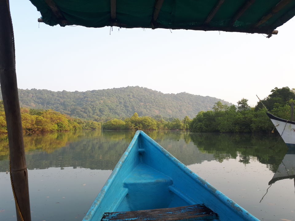 Photo of South Goa Unplugged! A week of Tropical Escapade. by Yashrajsinh Chudasama