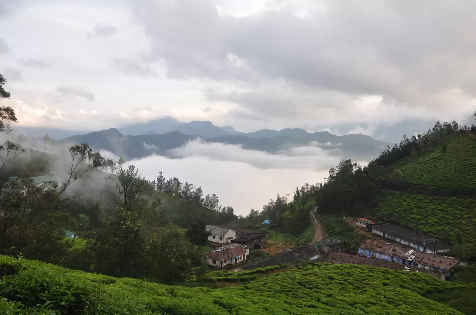 Photo of Kolukkumalai Tea Estate, Nullatanni, Munnar, Kerala, India by Yashrajsinh Chudasama