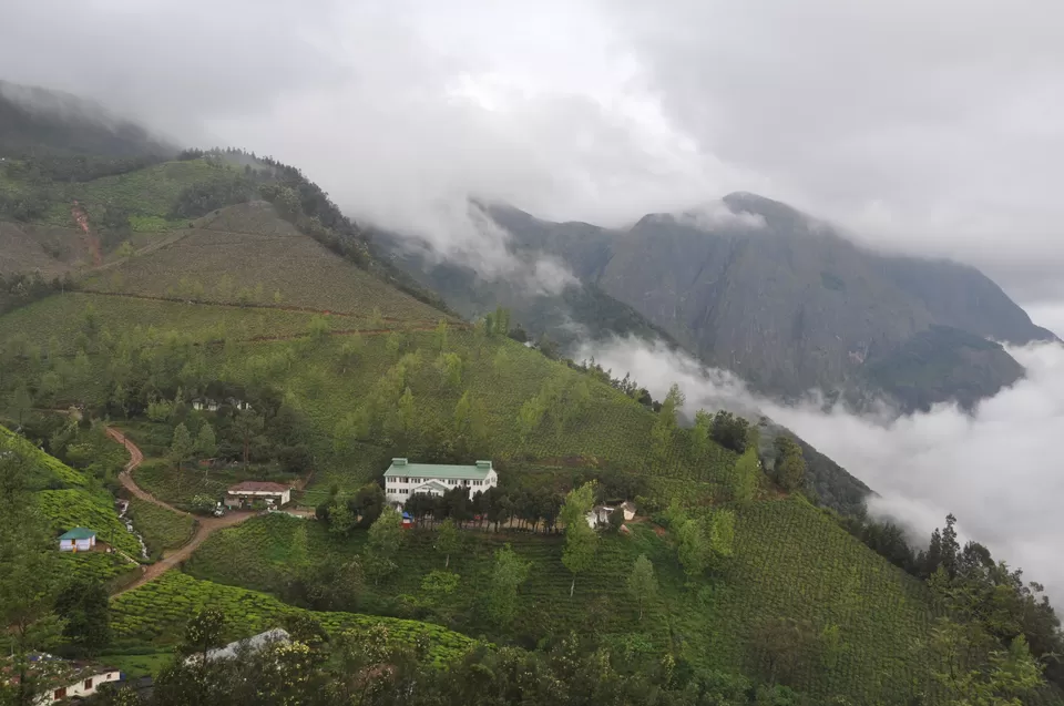 Photo of Kolukkumalai Tea Estate, Nullatanni, Munnar, Kerala, India by Yashrajsinh Chudasama