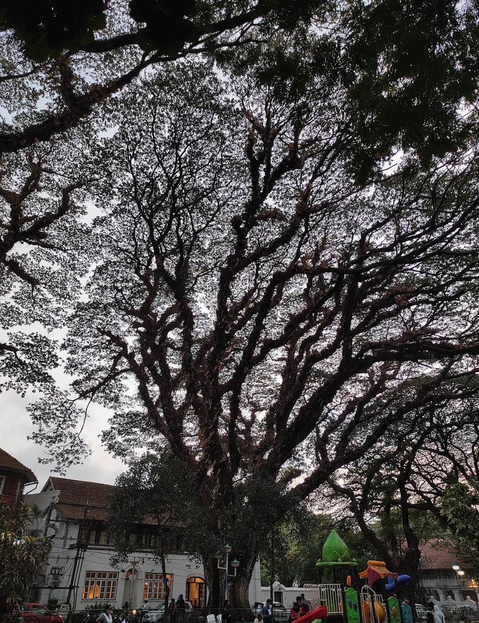 Photo of Fort Kochi: Timeless Relic of Art, History & Culture by Yashrajsinh Chudasama
