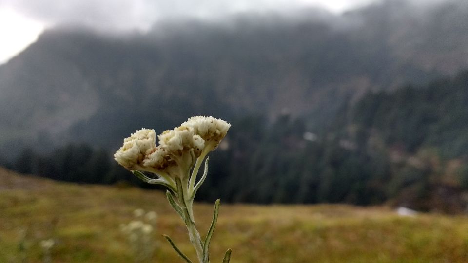 Photo of SAFARNAMA – A Trip To Individuality 2/5 by Amaan Rupesh
