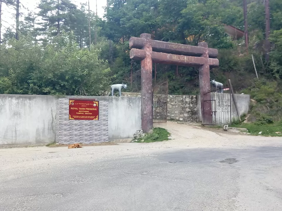 Photo of Thimphu, Bhutan by Shrestha Sahni