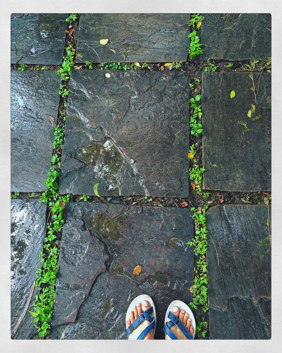 Photo of My Travel Diaries by Viral Jain