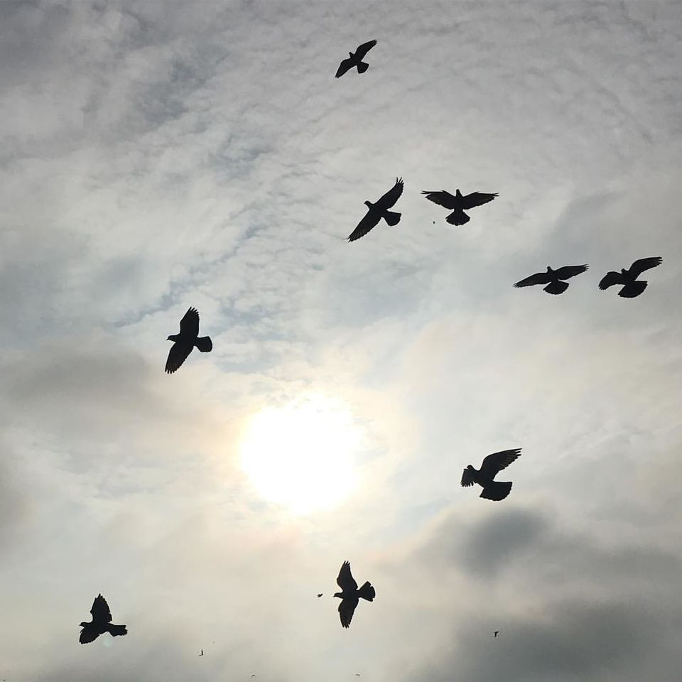 Photo of My Travel Diaries by Viral Jain