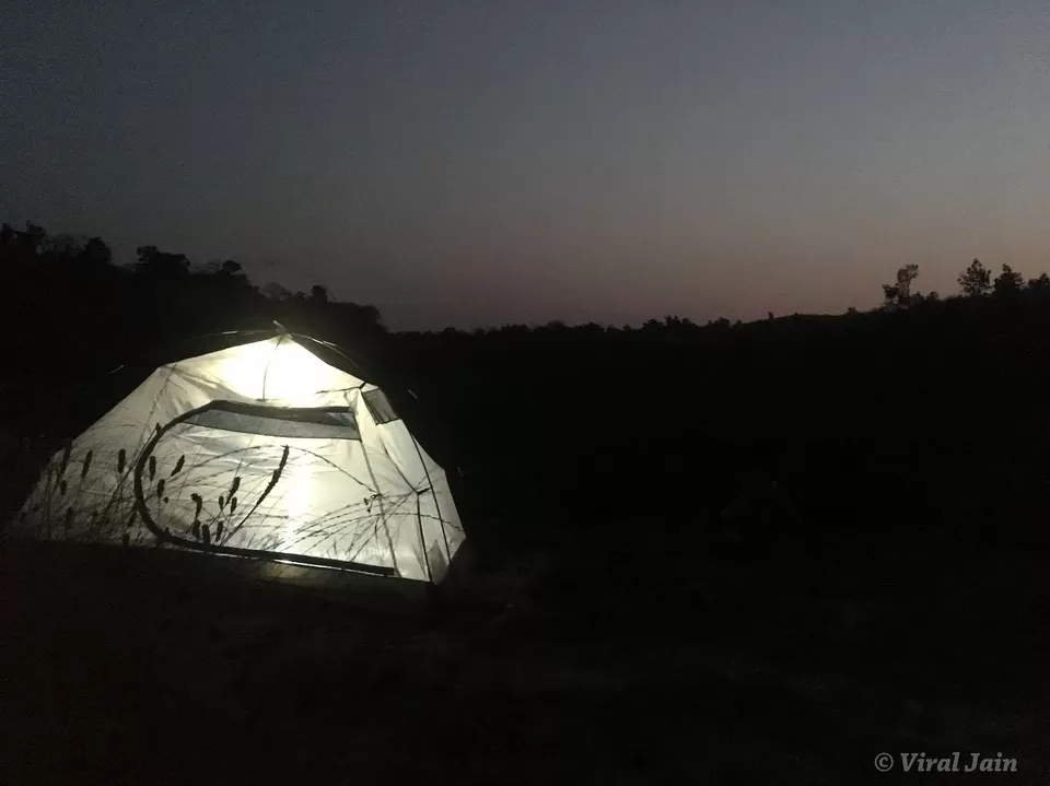 Photo of A Night in the Forest by Viral Jain