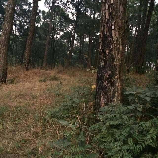 Photo of Hamirpur by gypsy traveller