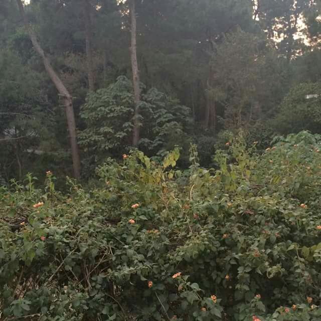 Photo of Hamirpur by gypsy traveller