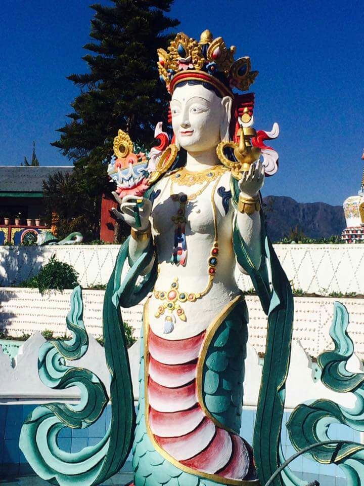 Photo of Riot of colours- Chillipam monastery by gypsy traveller