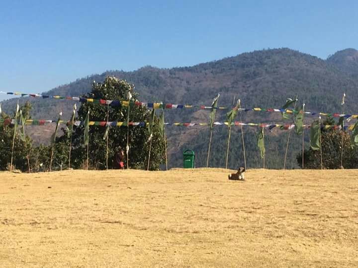 Photo of Riot of colours- Chillipam monastery by gypsy traveller