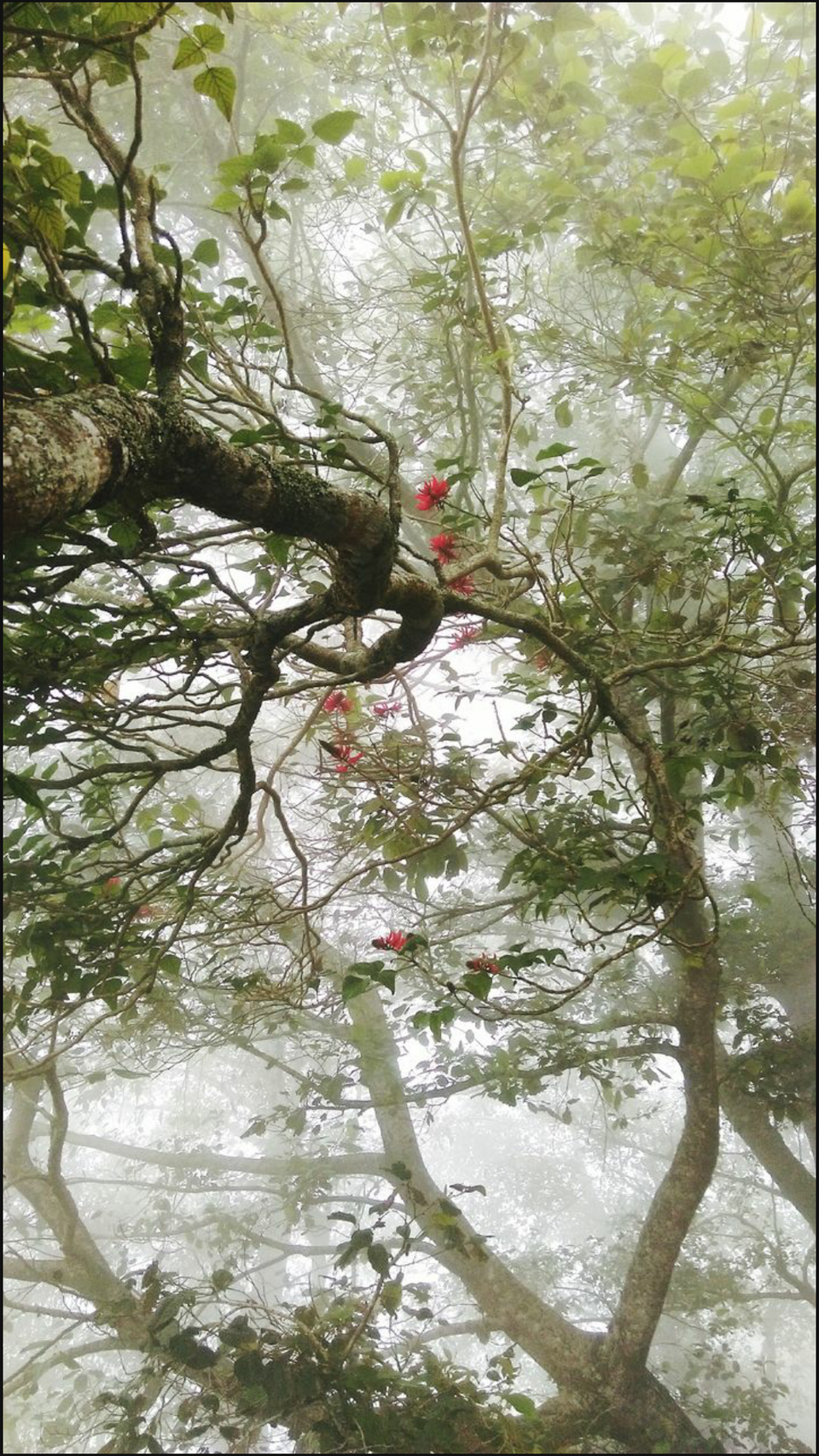 Photo of Friendships that Bloomed in God's Own Country 6/10 by The Travel Soul