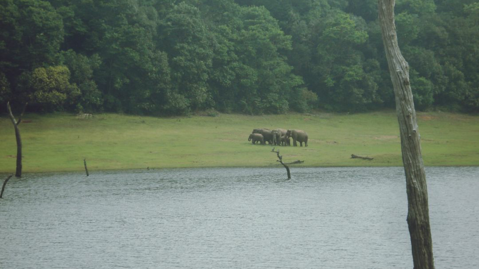Photo of Friendships that Bloomed in God's Own Country 9/10 by The Travel Soul
