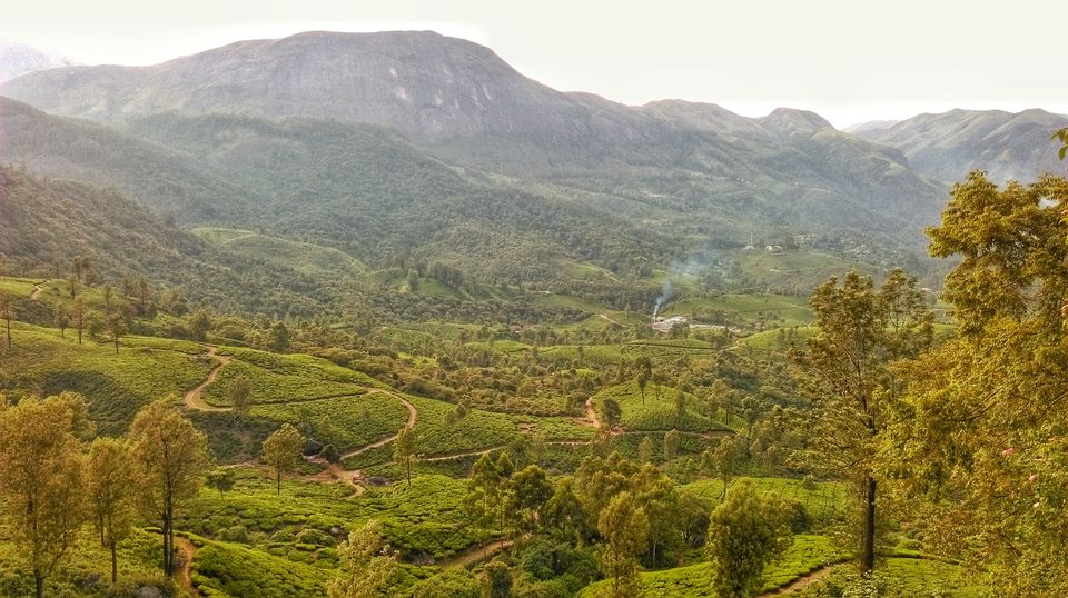 Photo of Friendships that Bloomed in God's Own Country 1/10 by The Travel Soul
