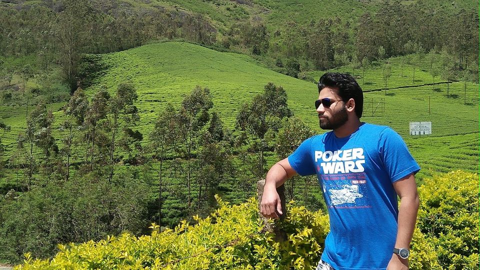 Photo of The Neelakurinji Flowers & Munnar. by Ankan Mukherjee