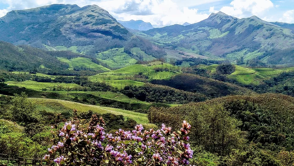 Photo of Eravikulam National Park, Kerala, India by Ankan Mukherjee