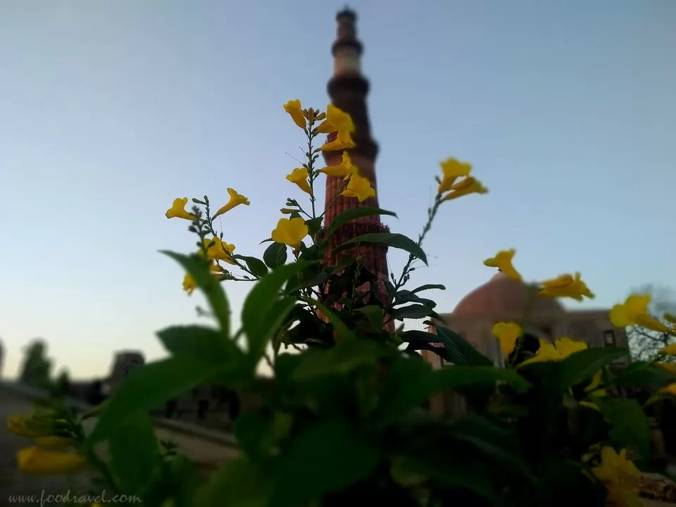 Photo of World's Tallest Brick Minaret - Qutub Minar - The Pride of Delhi by Rajat Kumar