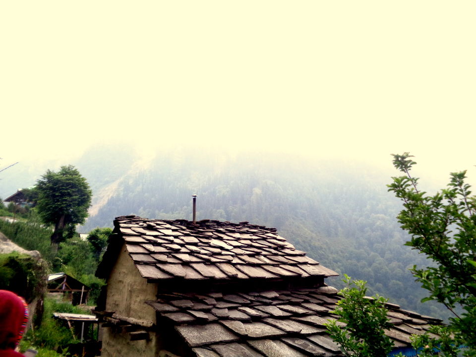 Photo of Tosh, Himachal Pradesh, India by Rajat Kumar