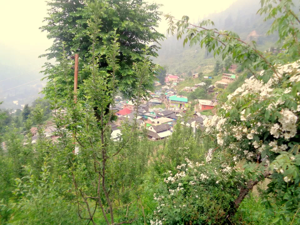 Photo of Moments Drenched in the Serenity of Tosh by Rajat Kumar