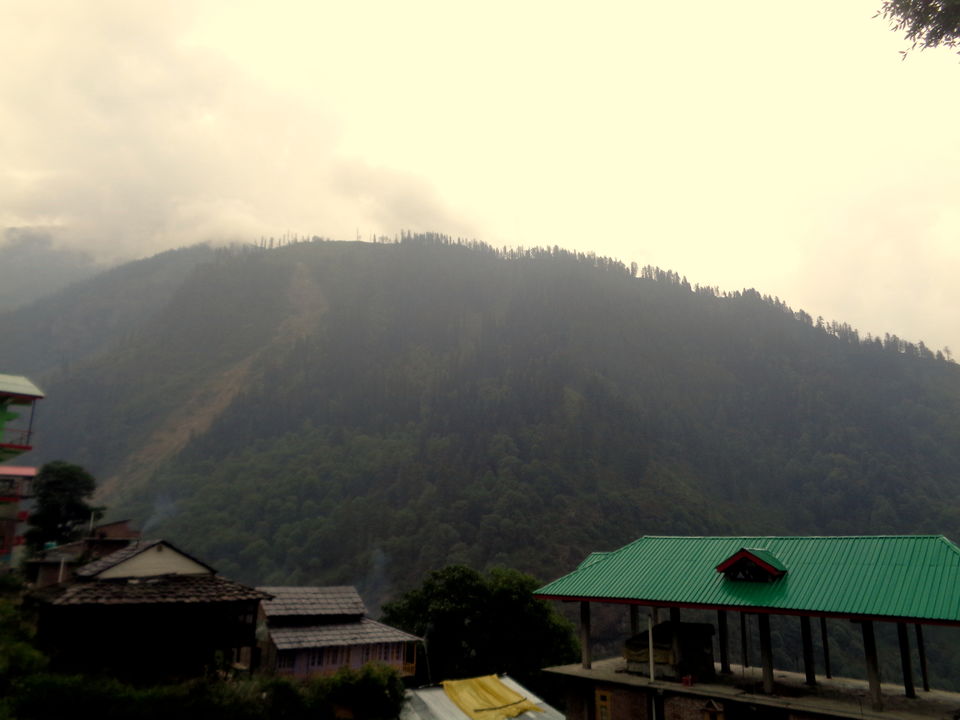 Photo of In the Serenity of Tosh by Rajat Kumar