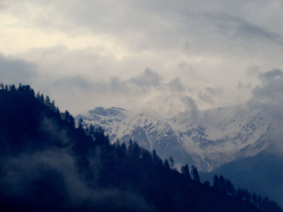 Photo of In the Serenity of Tosh by Rajat Kumar