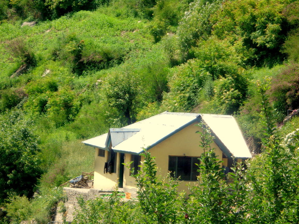 Photo of Temple Of Barshaini, Kullu, Himachal Pradesh, India by Rajat Kumar