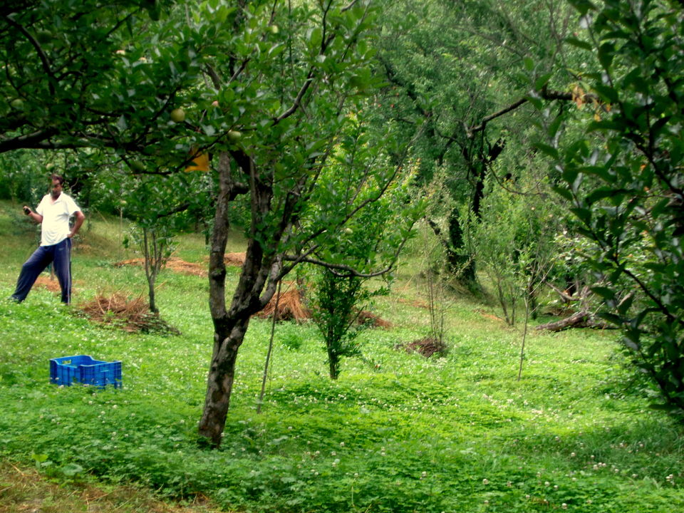 Photo of In the Serenity of Tosh by Rajat Kumar