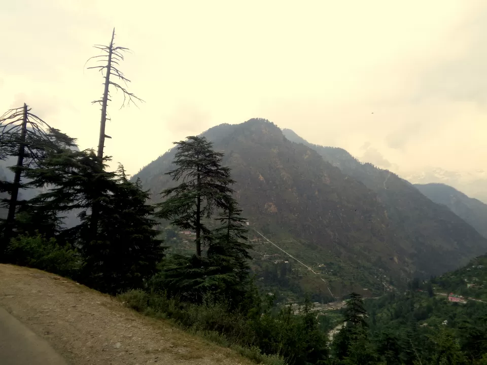 Photo of Moments Drenched in the Serenity of Tosh by Rajat Kumar