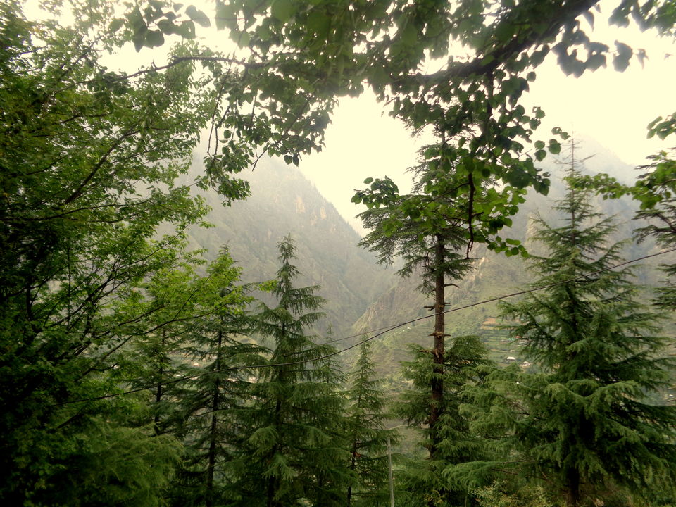 Photo of In the Serenity of Tosh by Rajat Kumar