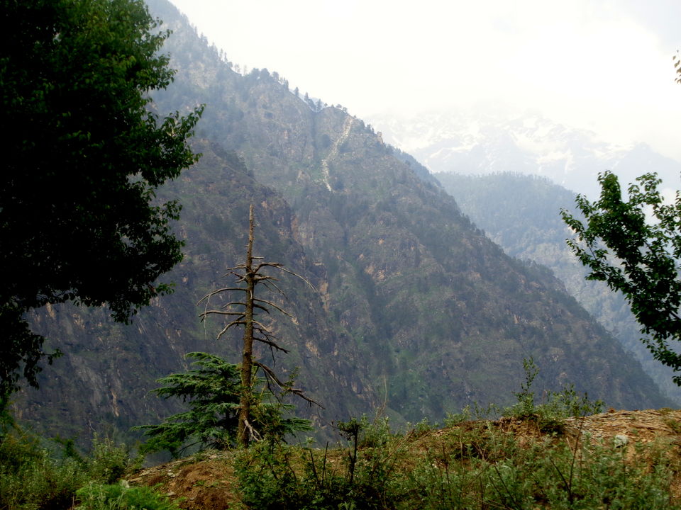Photo of In the Serenity of Tosh by Rajat Kumar