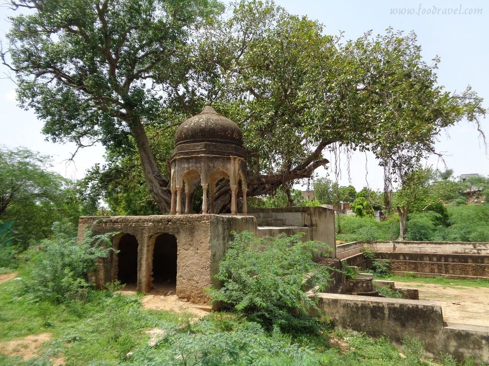 Photo of Madhogarh Fort, Madhogarh - A Fort Lost in Time by Rajat Kumar