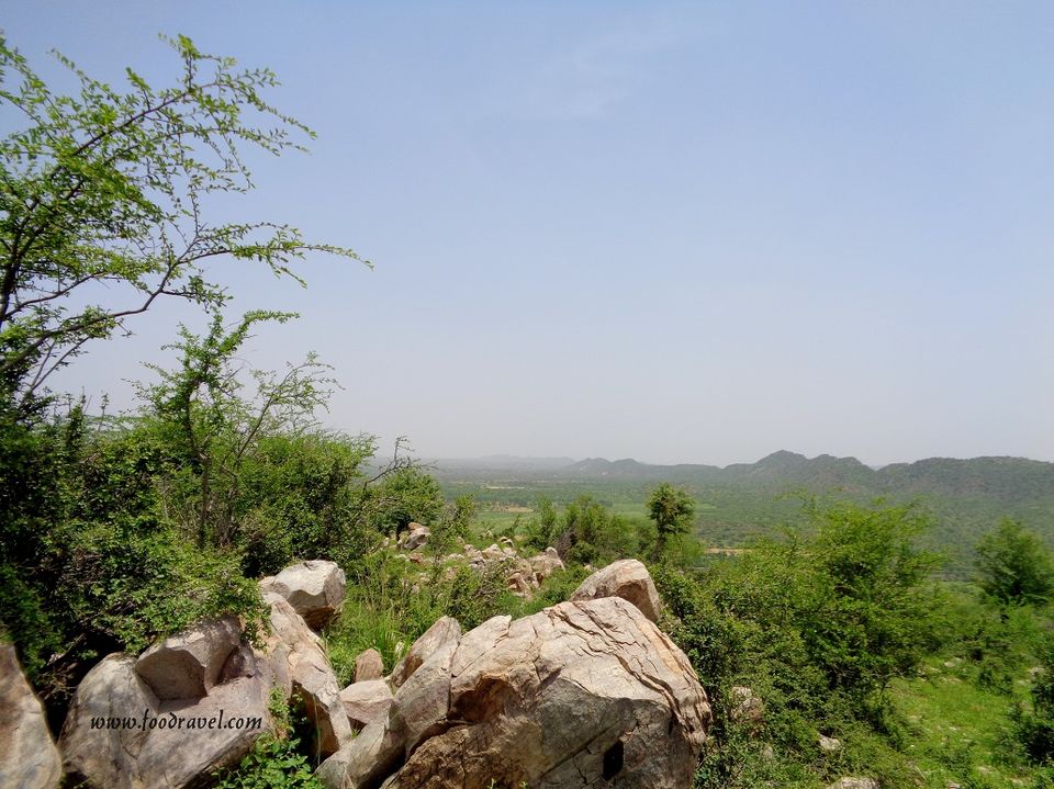 Photo of Madhogarh Fort, Madhogarh - A Fort Lost in Time by Rajat Kumar
