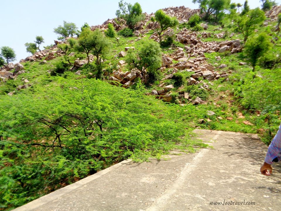 Photo of Madhogarh Fort, Madhogarh - A Fort Lost in Time by Rajat Kumar