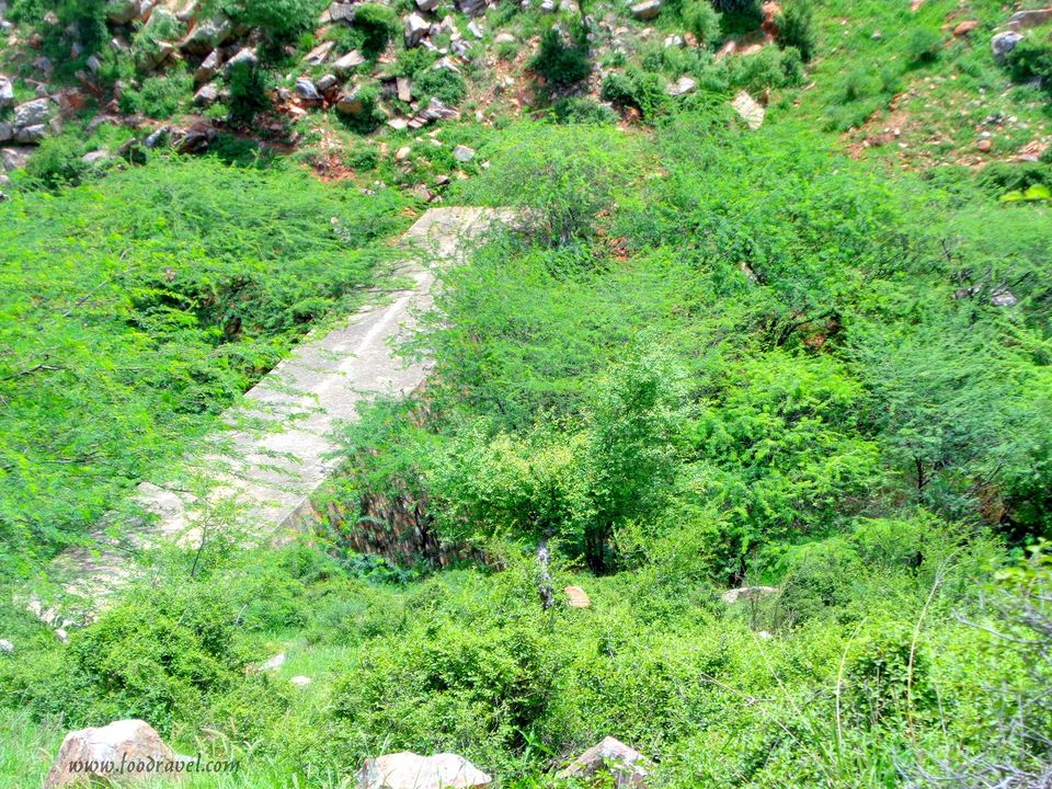 Photo of Madhogarh Fort, Madhogarh - A Fort Lost in Time by Rajat Kumar