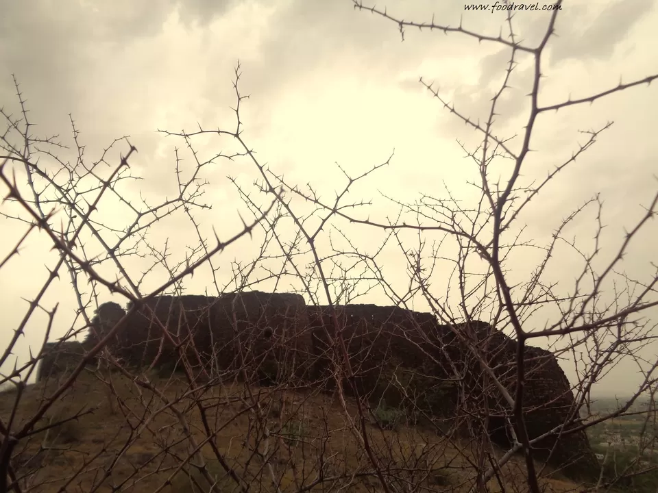 Photo of The Relics of Past - Mandhan Fort, Mandhan, Alwar by Rajat Kumar