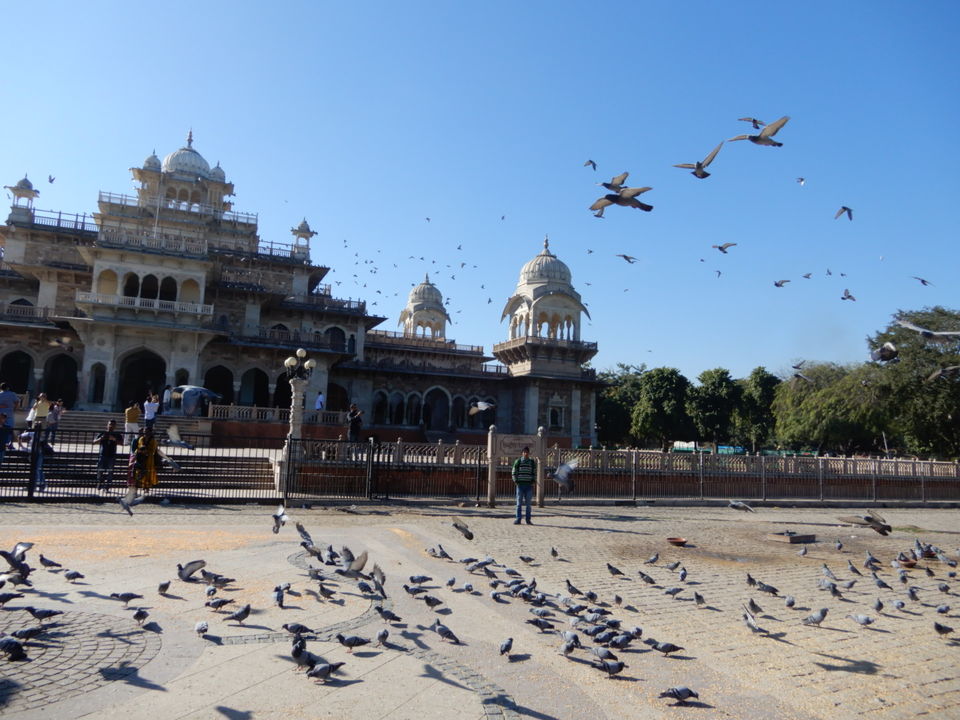 Photo of Albert Hall Museum, Ram Niwas Garden, Ashok Nagar, Jaipur, Rajasthan, India by Rajat Kumar