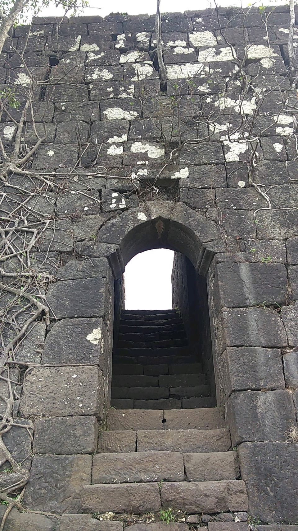 Photo of Karnala Fort- History camouflaged in plain sight 4/9 by Sukhwinder Singh Gill