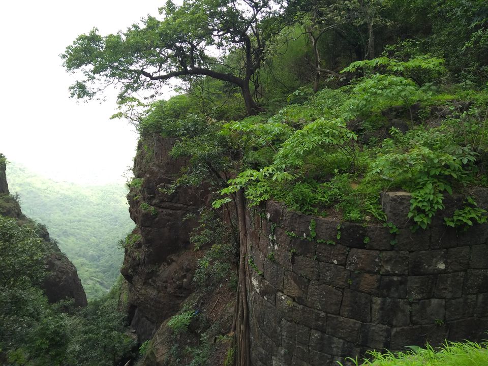 Photo of Mahuli Fort- Paradise at 2800ft 6/6 by Sukhwinder Singh Gill