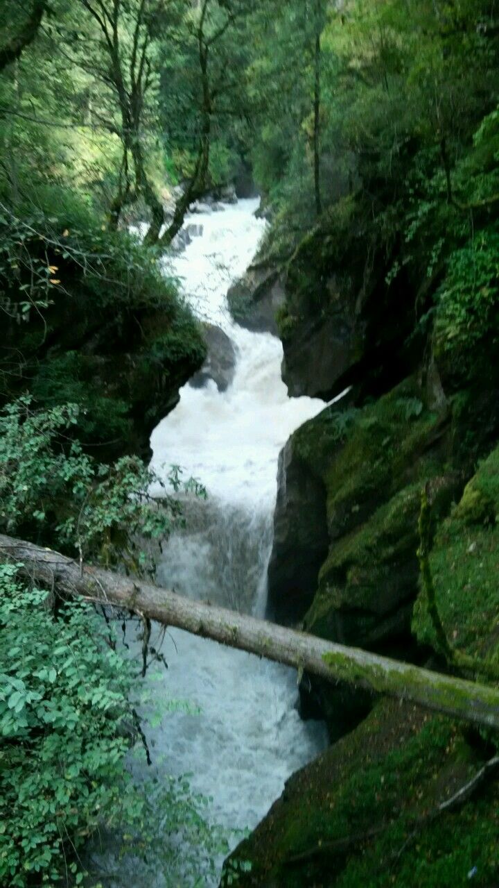 Photo of Adventurous and Mesmerizing Kheerganga Treck, starting from Kasol upto Hot Spring of Parvati Kund 6/10 by Vinita Sharma